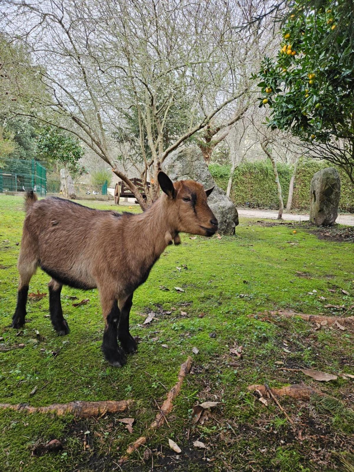ריביירה Camping Rural Ria De Arosa 2 מראה חיצוני תמונה
